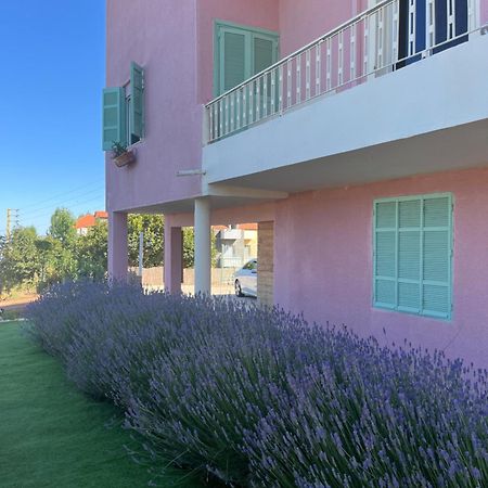 Beit Mirna Guesthouse - Ehden Exterior foto